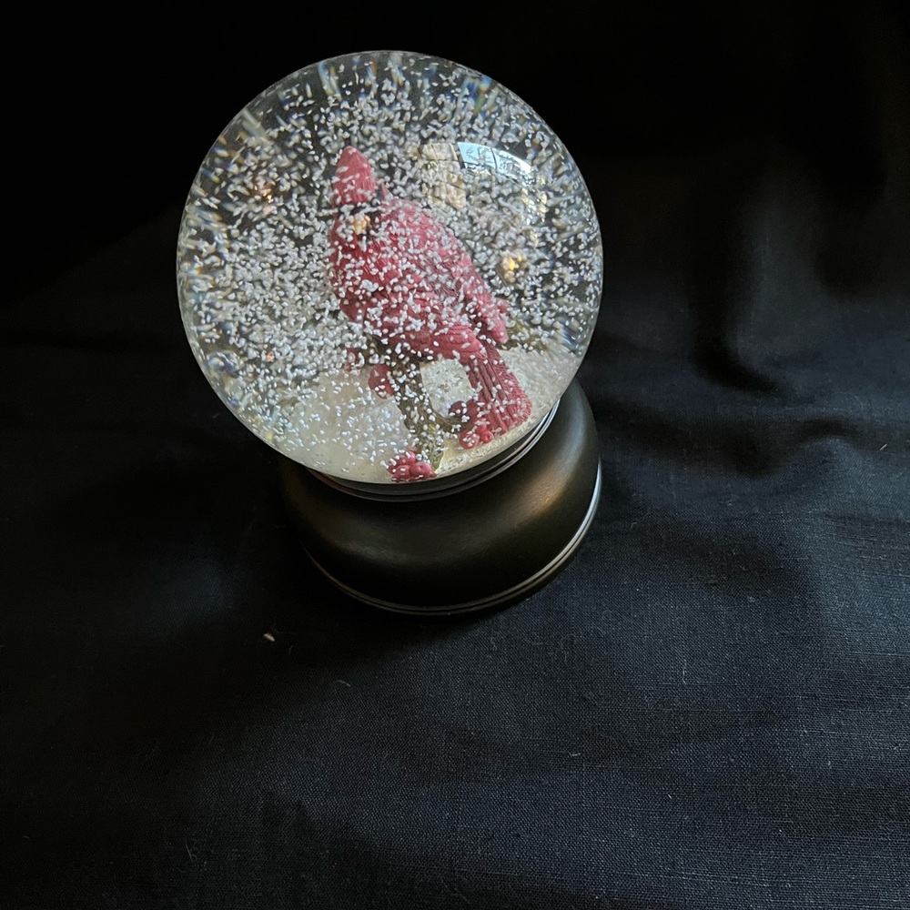 Cardinal Snow Globe with Black Base